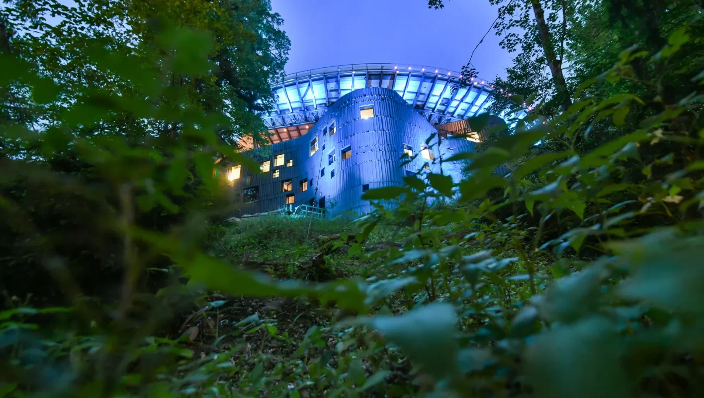 Aus dem grünen heraus, Foto hoch zur Luisenburg bei Nacht